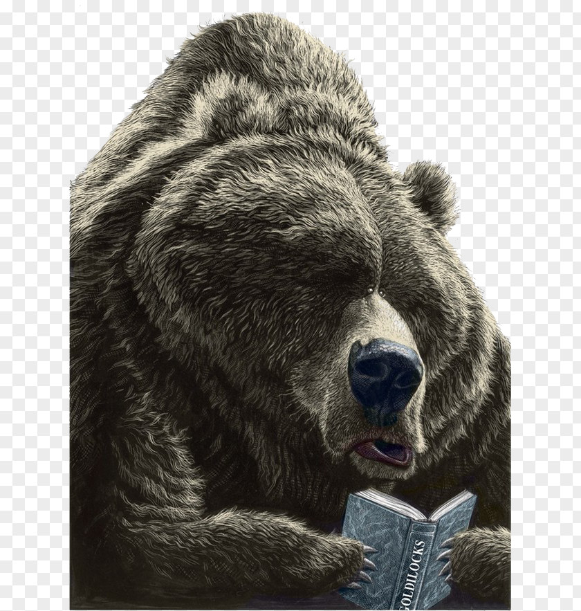 Brown Bear Bear, What Do You See? Book Reading Drawing Illustration PNG