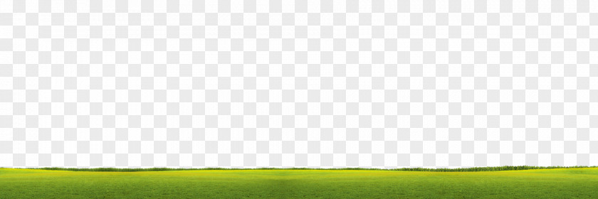 Check Mark Lawn Energy Land Lot Desktop Wallpaper Grassland PNG