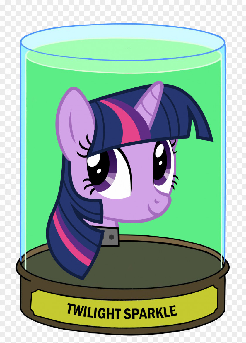 Jar Vector Pony Twilight Sparkle Pinkie Pie Rarity Applejack PNG