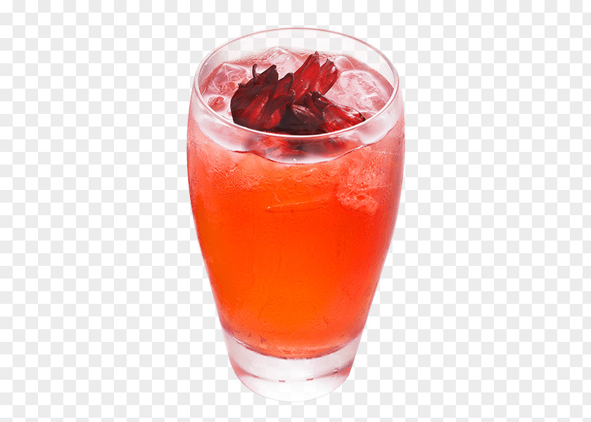 Juice Bay Breeze Pomegranate Tinto De Verano Woo PNG