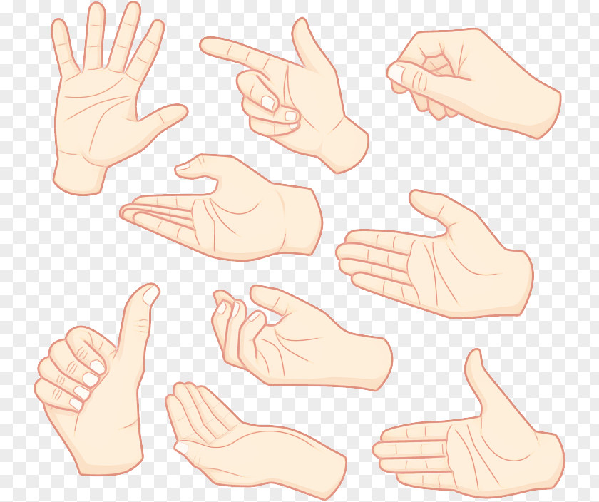 Nail Sign Language Finger Hand Gesture Thumb Arm PNG
