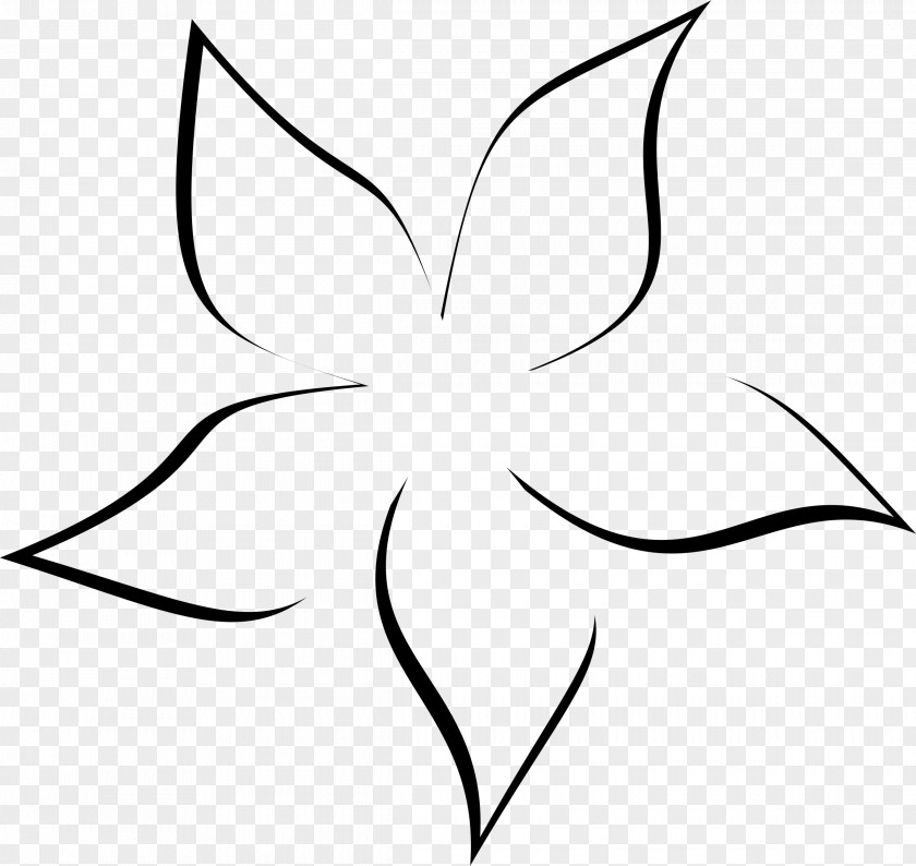 Petal Flower Drawing Visual Arts Clip Art PNG