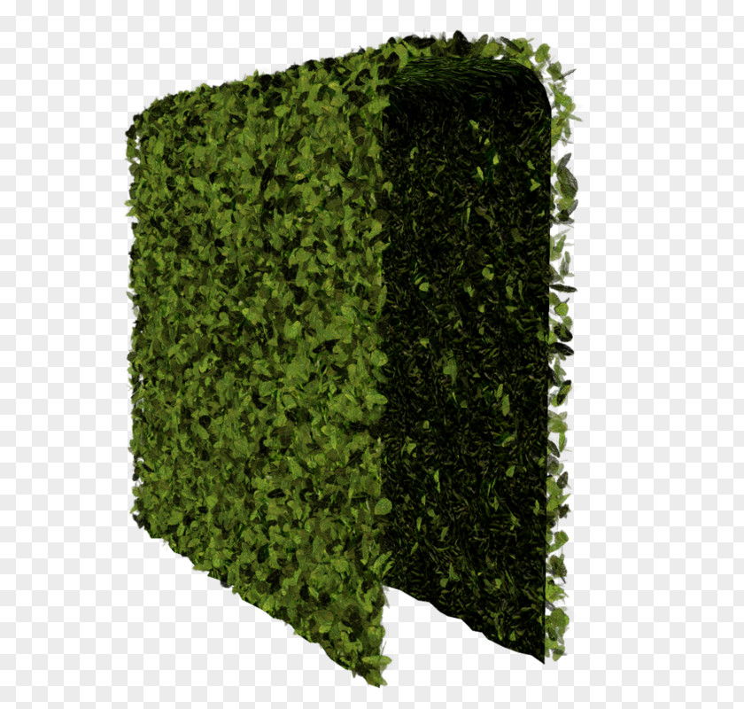 Tree Hedge Shrub PNG