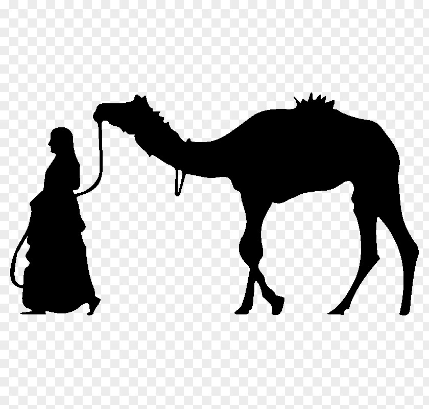 Afrique Silhouette Camel Saatchi Art Painting Illustration PNG