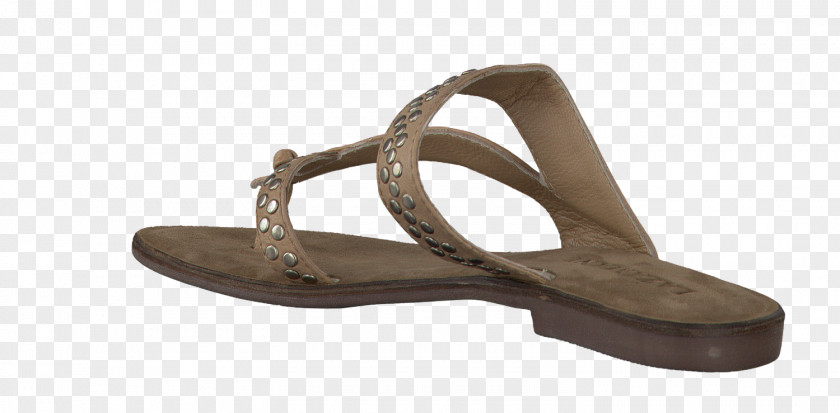 Flip Flops For Women Flip-flops Beige Sandal Shoe Slide PNG