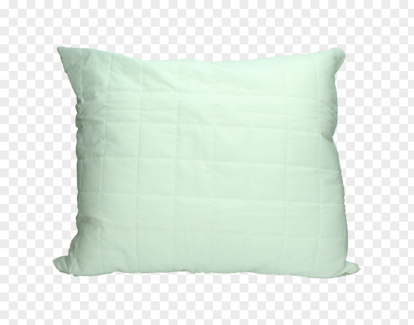 Pillow Throw Pillows Cushion Rectangle Turquoise PNG