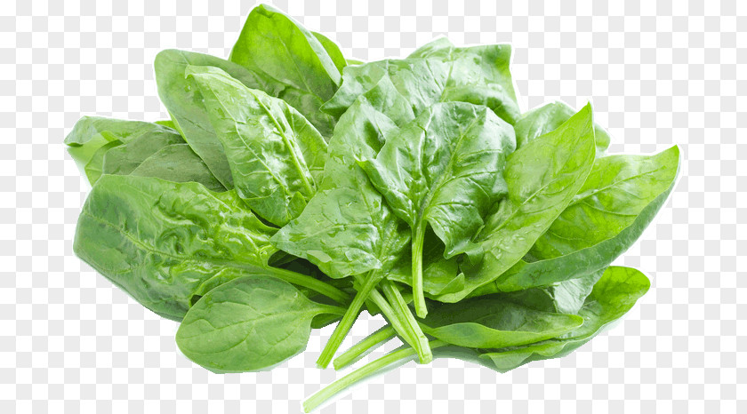 Vegetable Spinach Salad Vegetarian Cuisine Health Shake Food PNG
