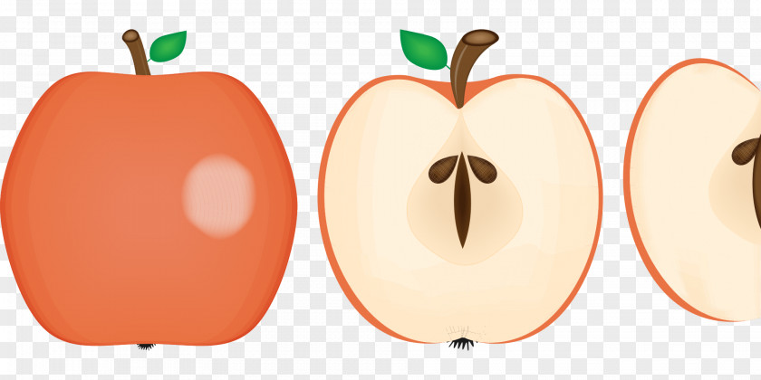 Apple Decoration Juice Fruit Illustration PNG