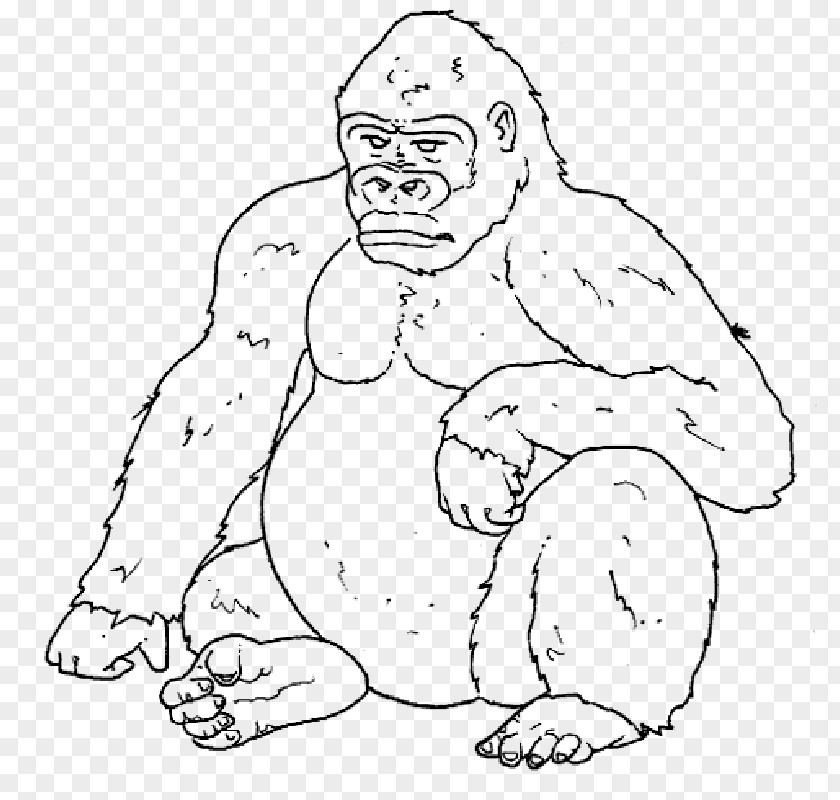 Gorilla Coloring Book Ape Drawing Child PNG