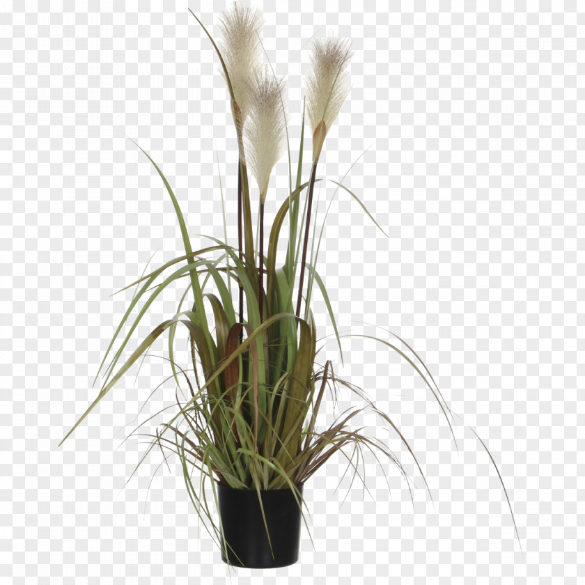 Grass Plastic Flowerpot Mica Garden PNG