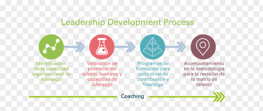 Liderazgo Leadership Desarrollo De Organization Talent Competence PNG