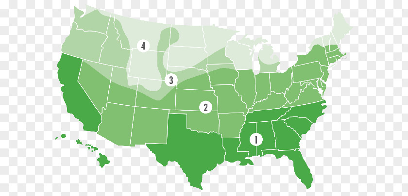 Pine Needle Frame Tubelite Inc. Alaska Colorado Map Federal Government Of The United States PNG