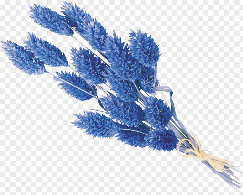 Blue Flower Bouquet Clip Art PNG