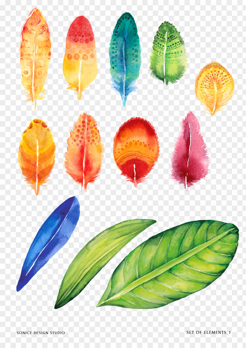 Feather Painting PNG