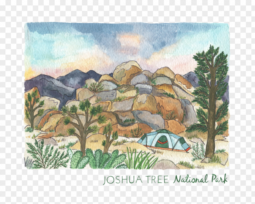 Painting Watercolor Room Joshua Tree National Park PNG