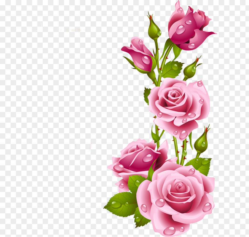 Rose Picture Frames Flower Clip Art PNG