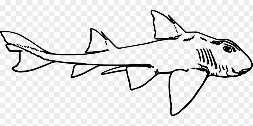 Shark Leopard Clip Art PNG