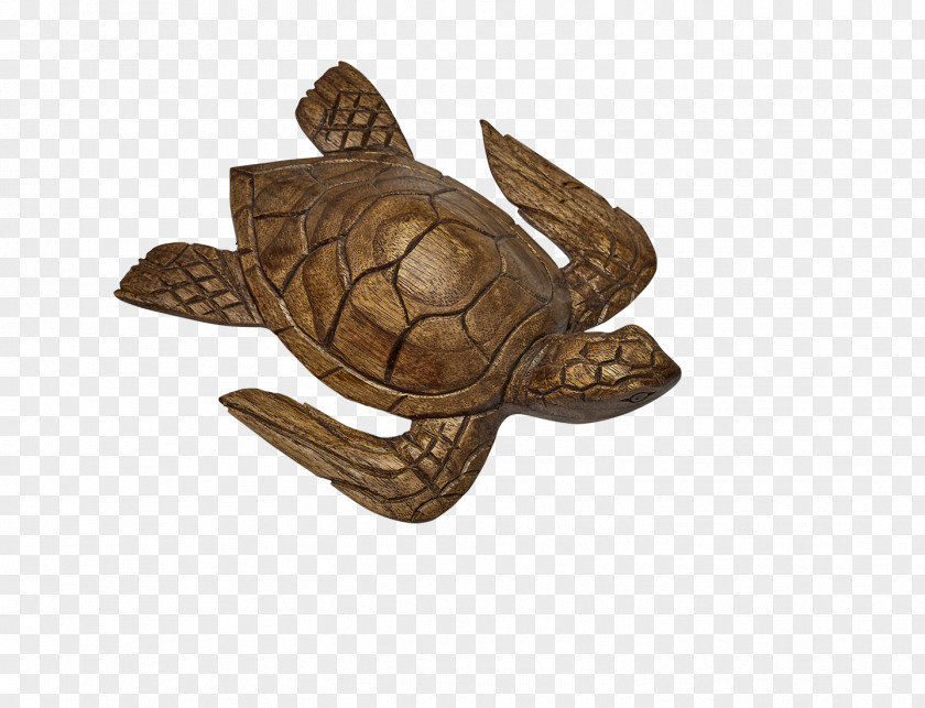 Woodcarving Box Turtle Sea Tortoise Wood PNG