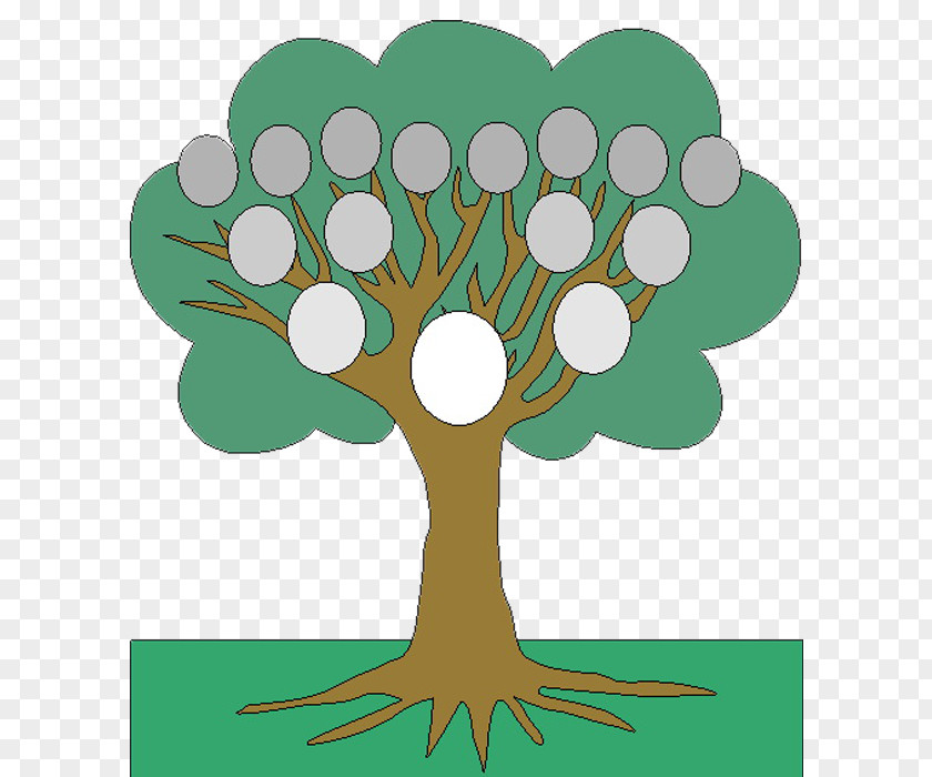 Cute Tree PNG