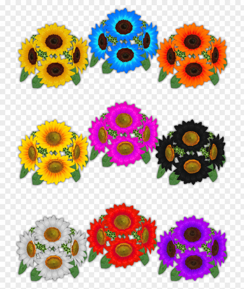 Design Common Sunflower Floral Cut Flowers Seed Pattern PNG