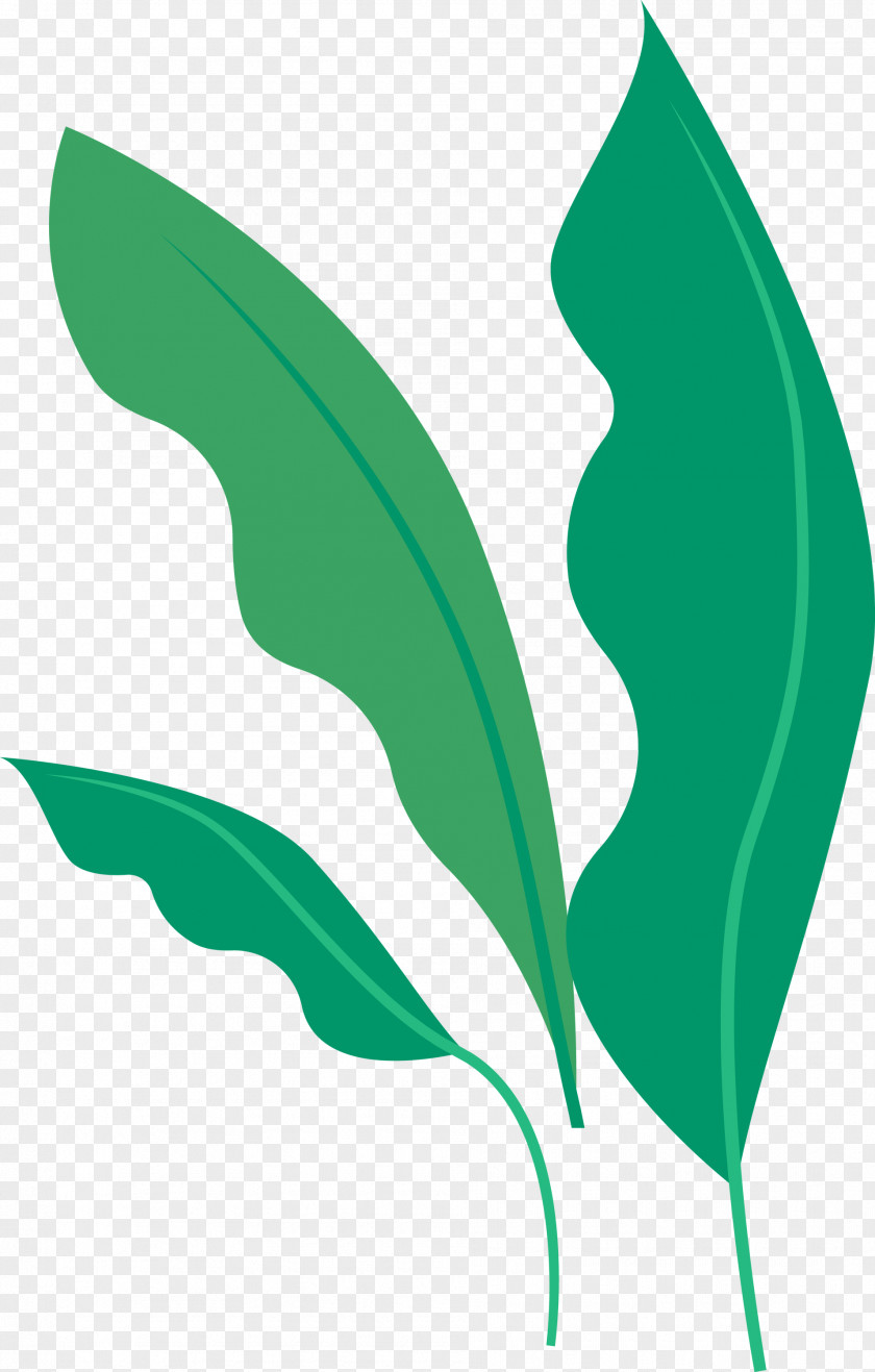Leaf Green Plant Logo Stem PNG