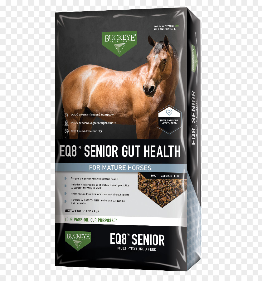 Leisure And Health Horse Dietary Supplement Equine Nutrition Mare PNG
