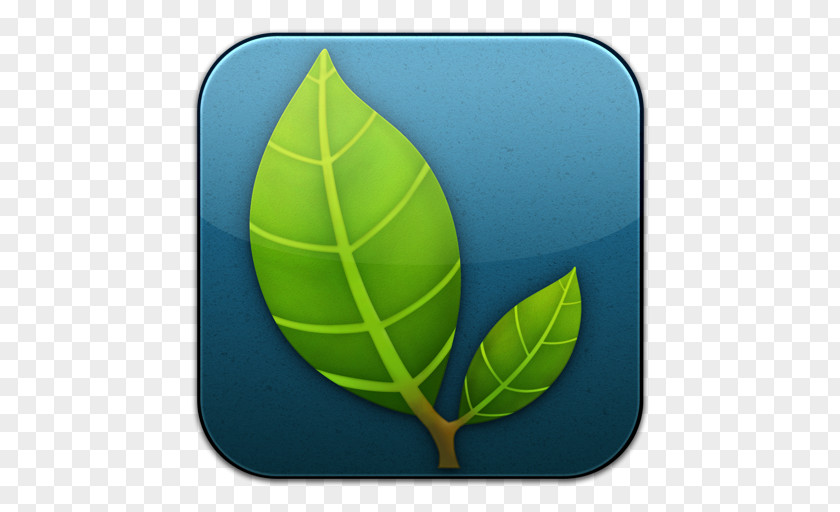 MindNode Plant Tennis Ball Leaf Football PNG