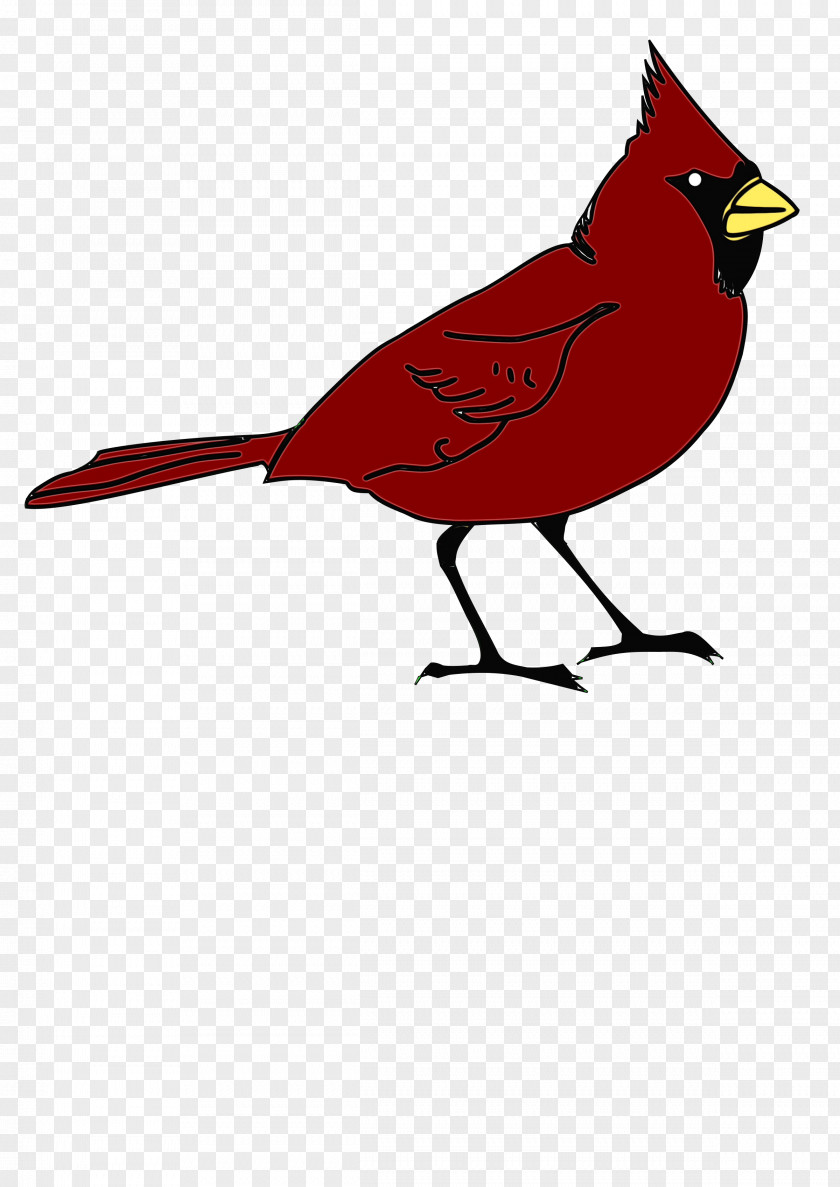 Perching Bird Songbird Northern Cardinal Drawing Silhouette PNG