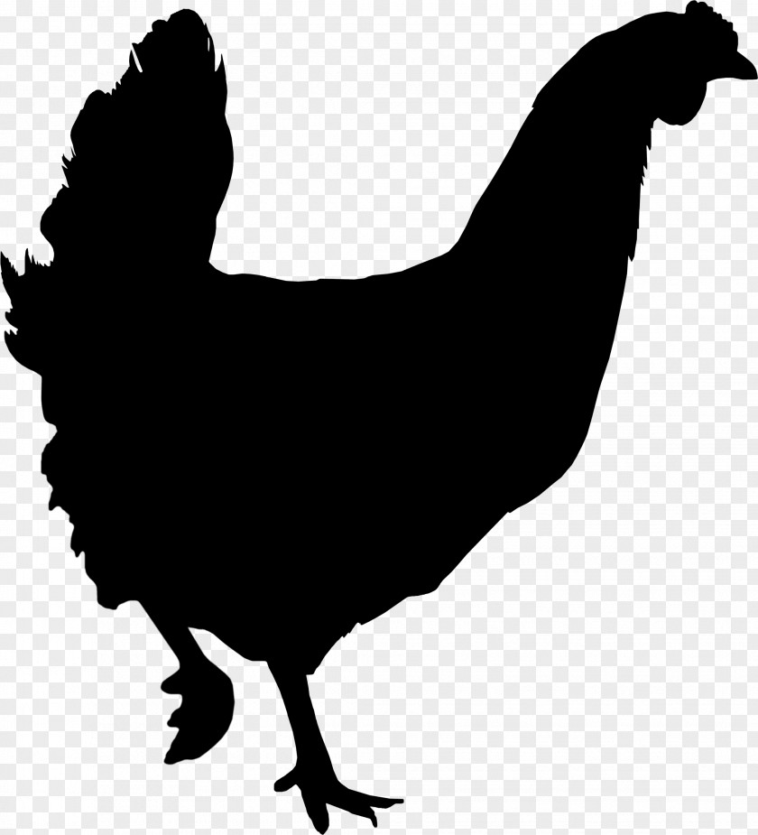 Rooster Chicken Clip Art Fauna Silhouette PNG