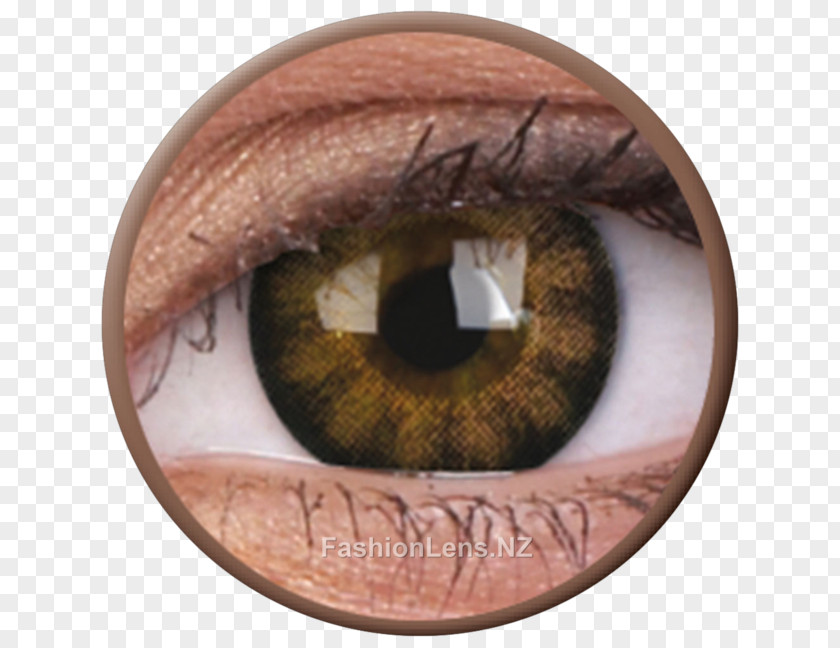Eye Contact Lenses Circle Lens Color PNG