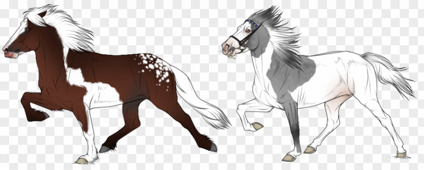 Icelandic Pony Mustang Horse Foal Stallion PNG