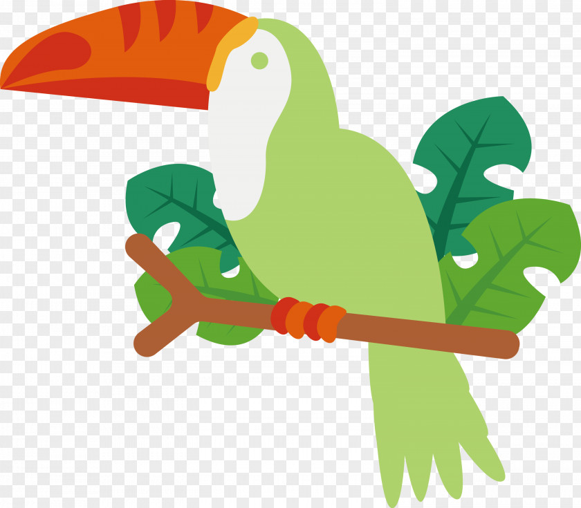 Macaw Parrots Toucans Beak Green PNG
