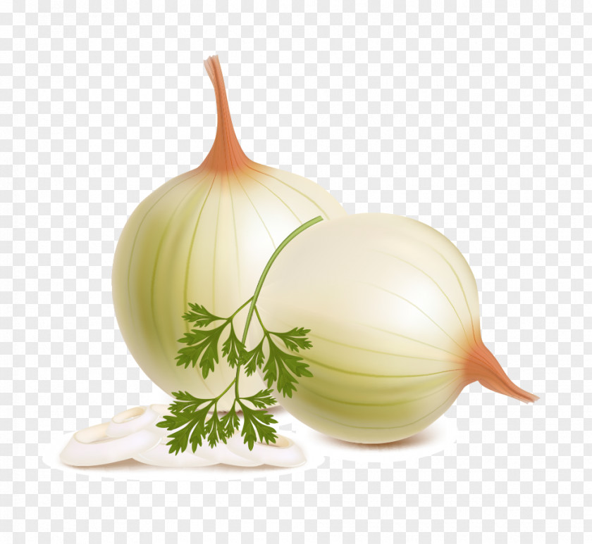 Onion Vegetarian Cuisine Vegetable Fruit Tomato PNG