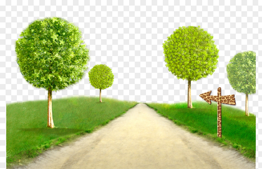Trees Creative Green Grass Tree PNG