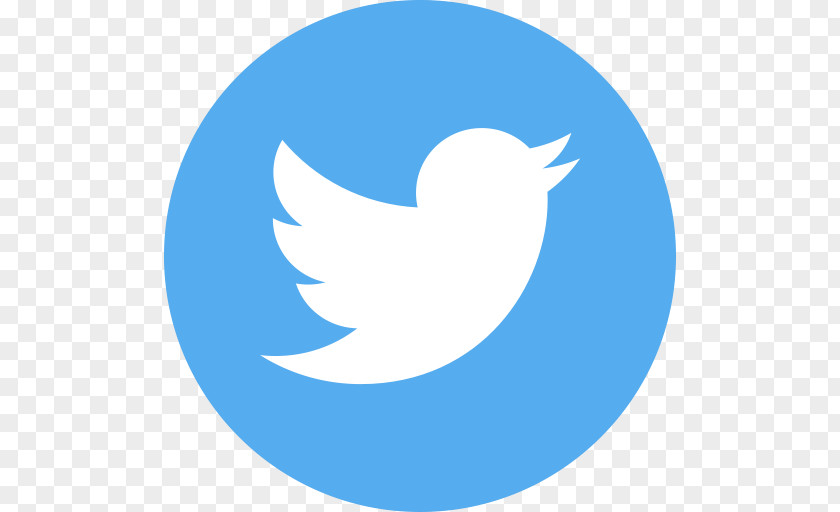 Twitter Logo Business Company PNG