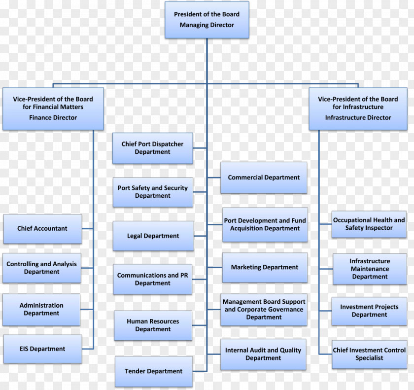 Authorities Organizational Chart Management Hierarchical Organization Board Of Directors PNG