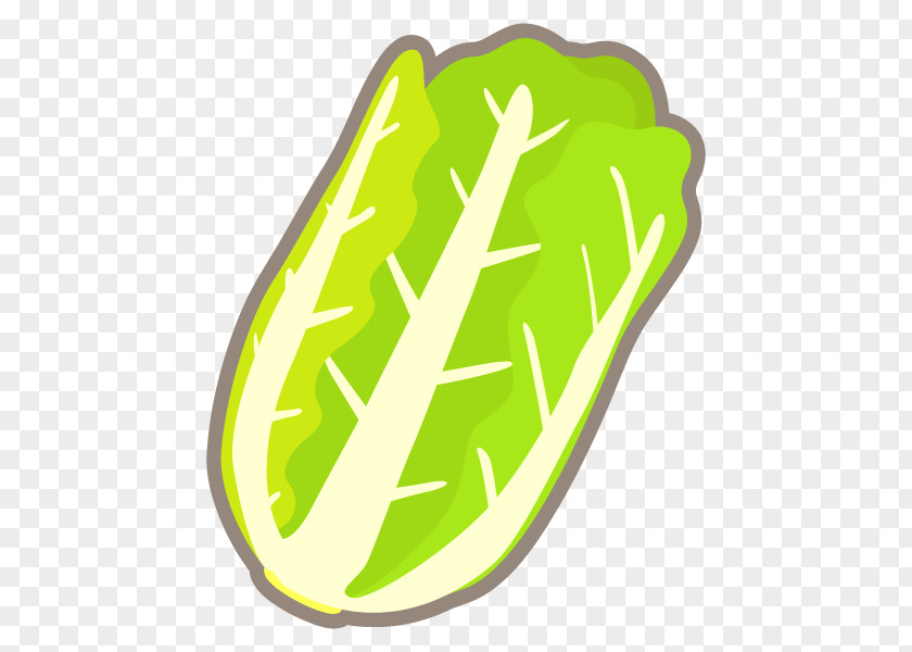 Clip Art Logo Product Design Shoe Vegetable PNG