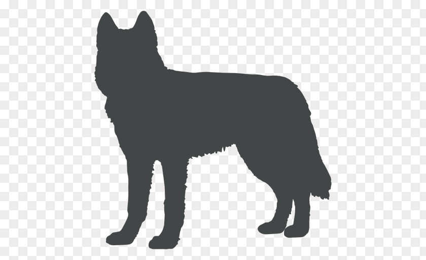 Ears Vector Australian Cattle Dog Schipperke Karelian Bear Belgian Shepherd Stumpy Tail PNG