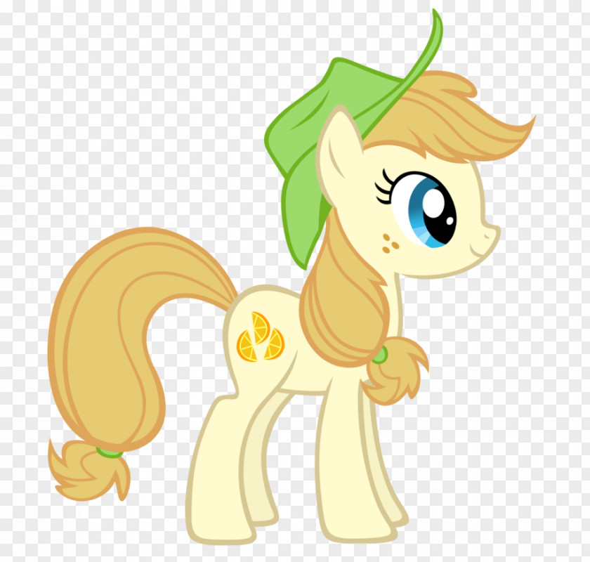 My Little Pony Applejack Rarity Fluttershy Twilight Sparkle PNG