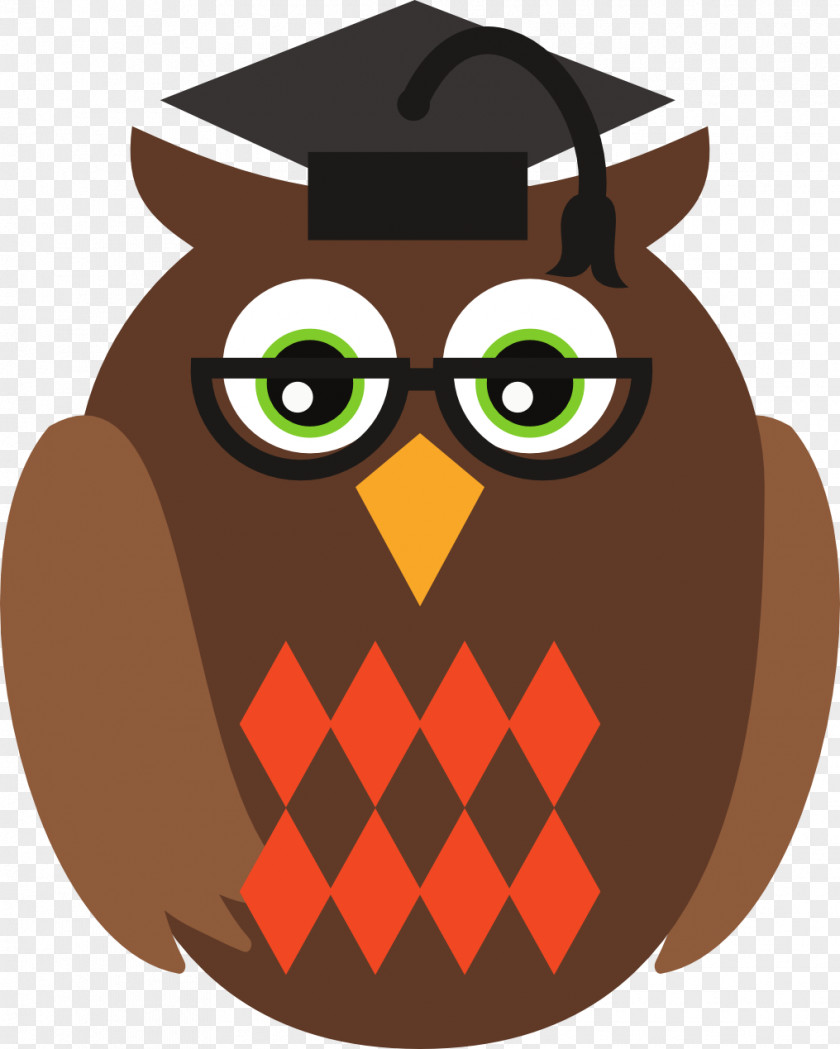 Owls Owl Clip Art PNG