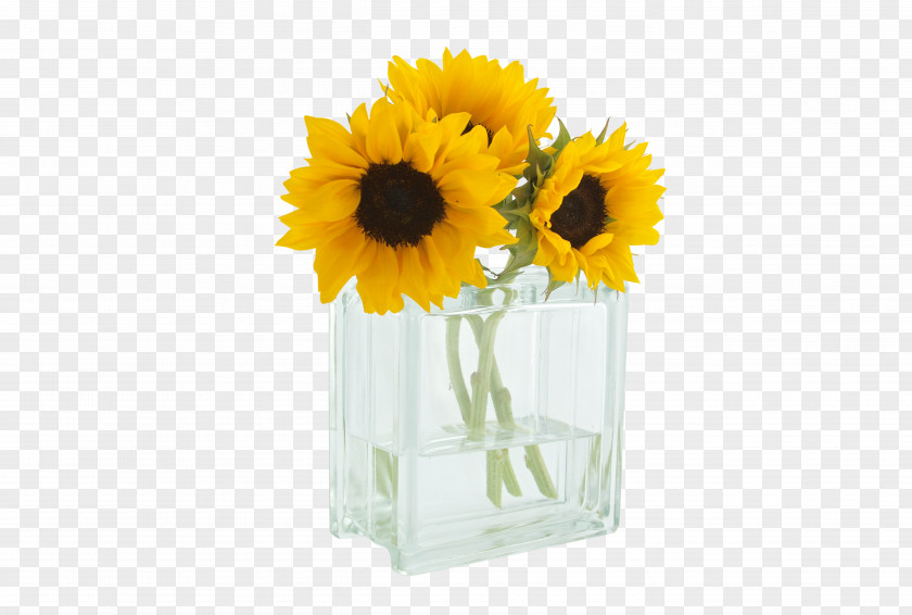 Sunflowers Morning Good Wish PNG