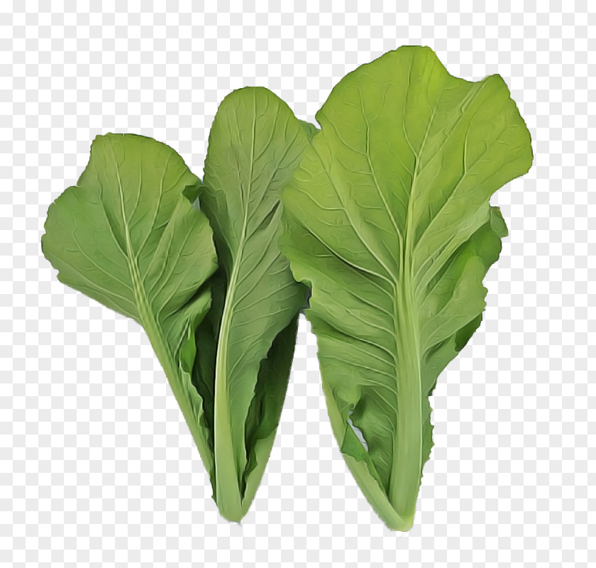 Arugula Food Leaf Flower Plant Vegetable PNG