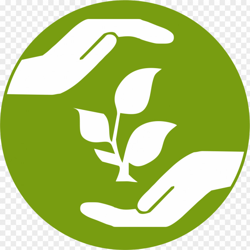 Society Social Responsibility Ansvar Responsabilidad Ambiental PNG