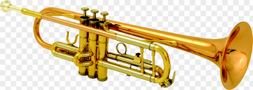Trumpet Flugelhorn French Horns Brass Instruments Musical PNG
