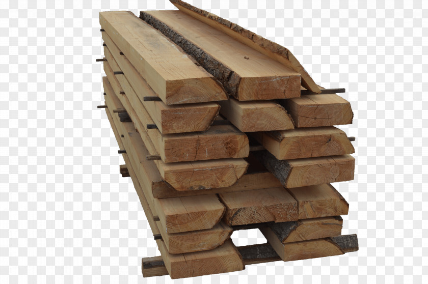 Wood Lumber Trunk Jordi Giribets, Fusta Bark PNG