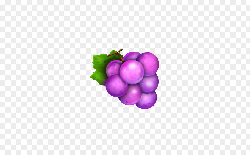 A String Of Purple Grapes Grape Icon PNG