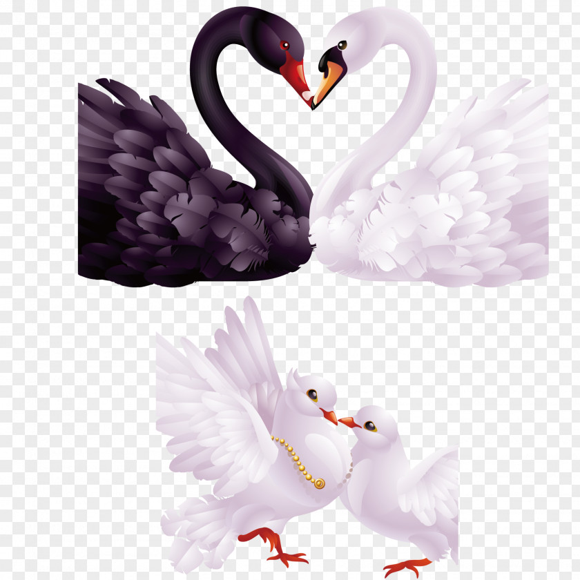 Creative Romantic Love Theme Swan Black Clip Art PNG