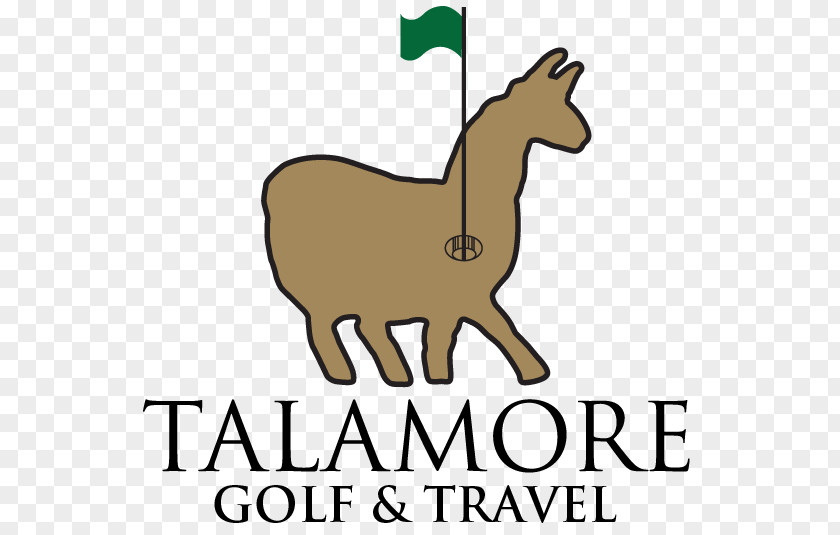 Michelle Wie Golfer Talamore Golf Resort Drive Course Village Of Pinehurst Area Association PNG