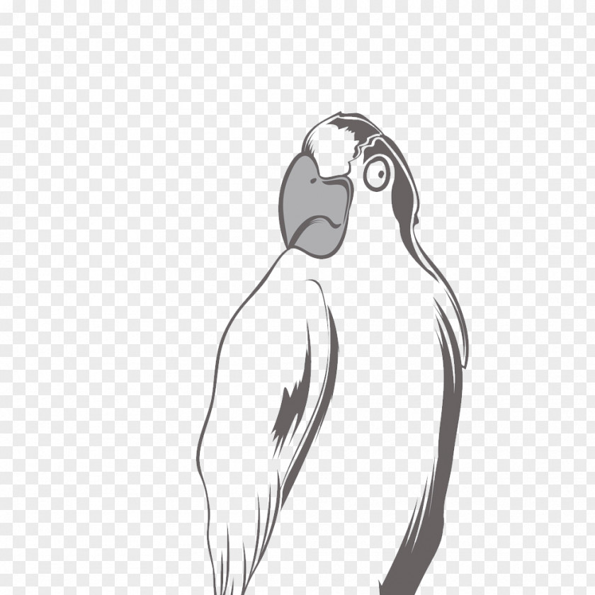 Parrot Black And White T-shirt PNG