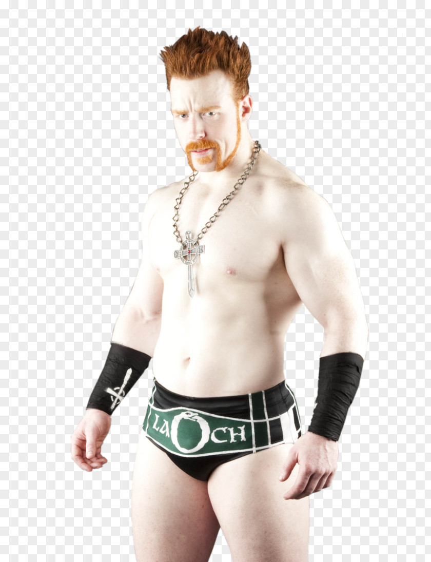 Professional Wrestler WWE Sheamus Randy Orton Kane PNG Kane, chris jericho clipart PNG